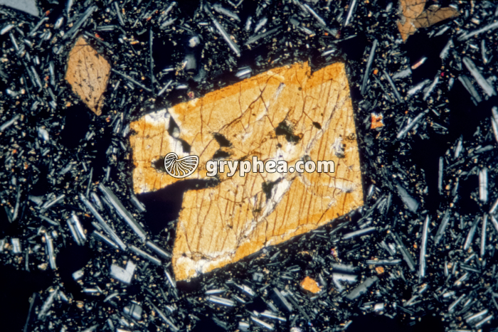 Pyroxène LPA x20 - gryphea.org